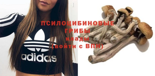 спайс Белокуриха