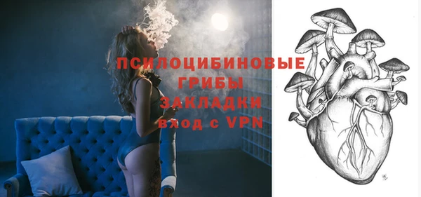 спайс Белокуриха