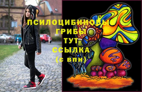 гашик Баксан