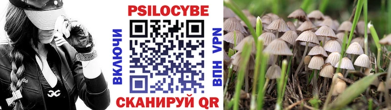 Псилоцибиновые грибы ЛСД  закладка  Реутов 